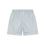 Blue stripes | blauw witte uv zwemboxer jongens