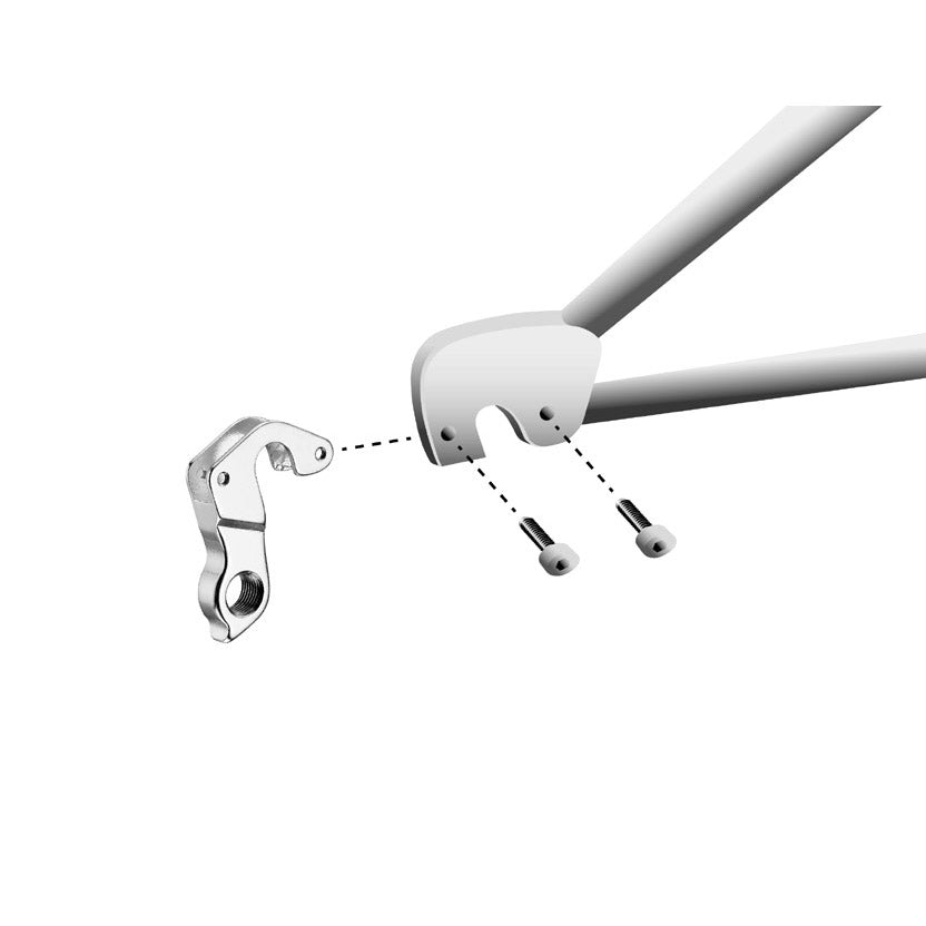 Union derailleurpad GH-148 met schroefset M3x1.0