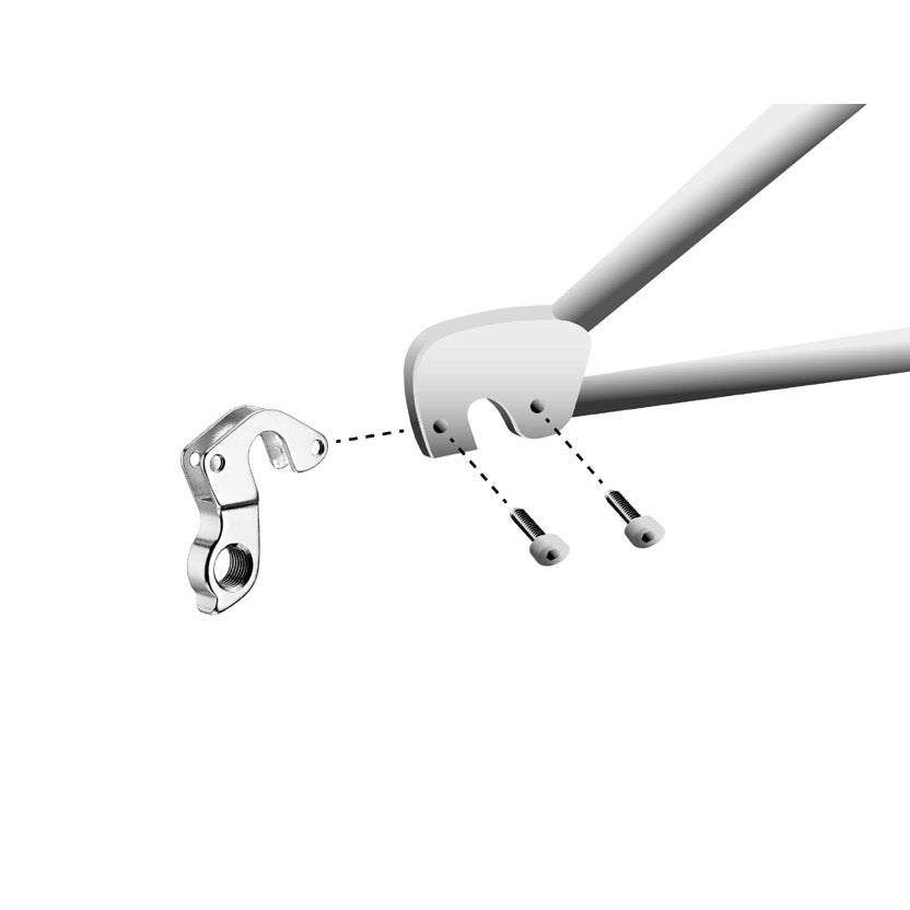 Union derailleurpad GH-150 met schroefset M3x1.0