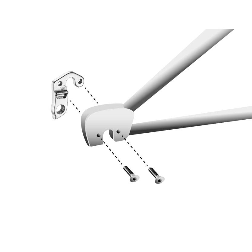 Union derailleurpad gh-156 scott met schroefset