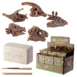 Rawr dinosaurus schedel fossiele gravering set