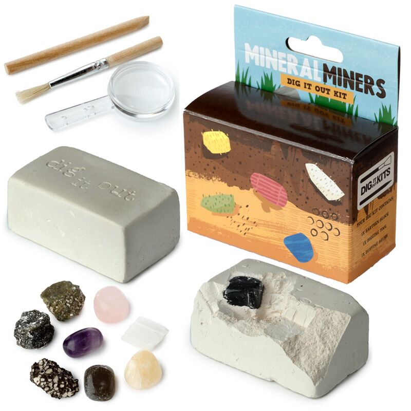 Stenen, mineralen en halfedelstenen opgraving set dig-a-saurus