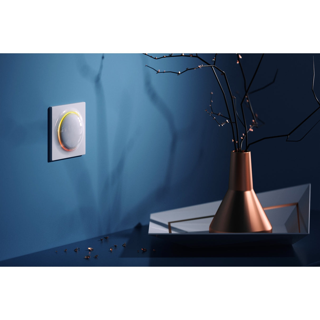 Fibaro Walli Outlet Type F