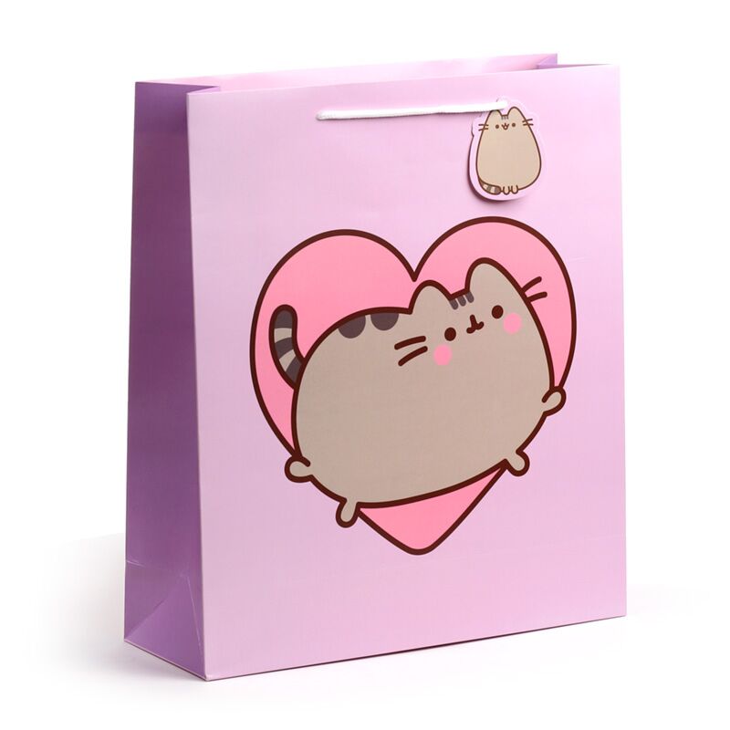 Pusheen de kat hart cadeautasje xl