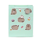 Pusheen de kat core cadeautasje groot