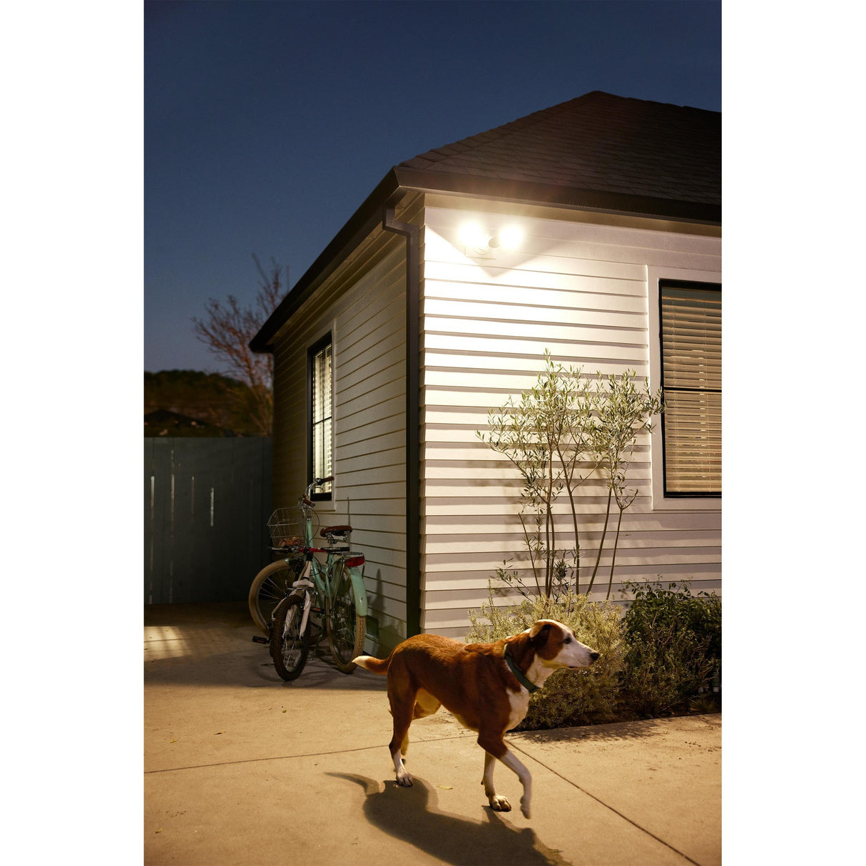 Google Cam met Floodlight