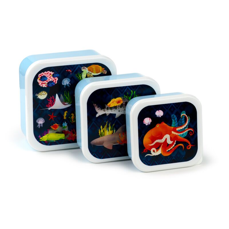 Set 3 lunch box m l xl - marine kingdom