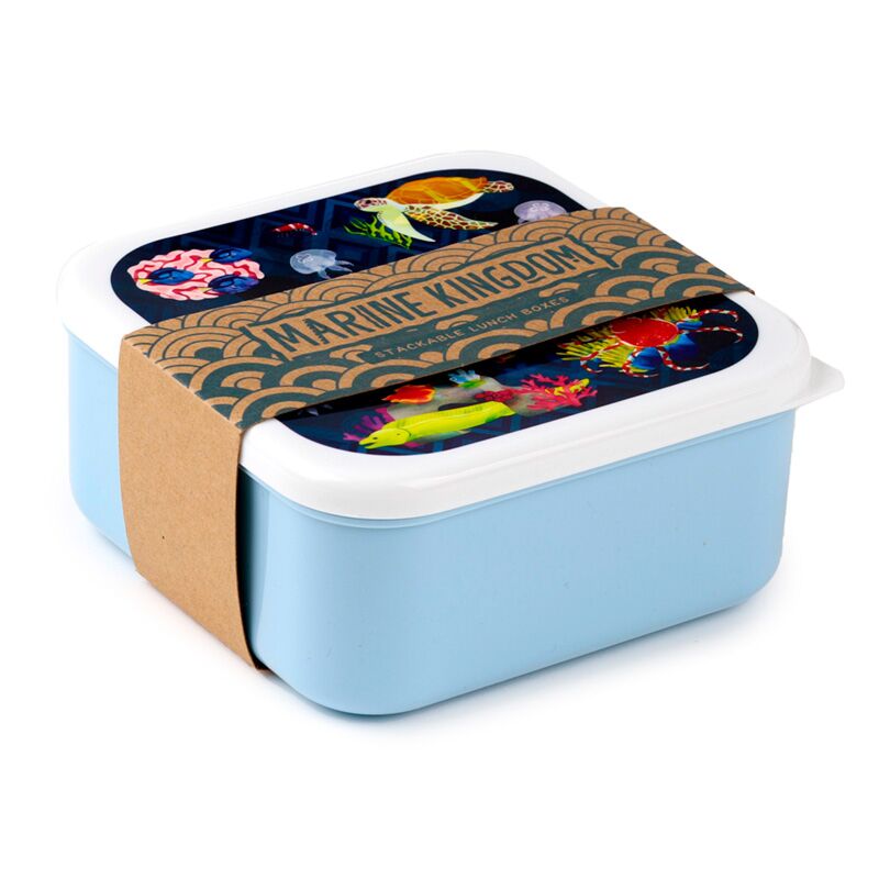 Set 3 lunch box m l xl - marine kingdom