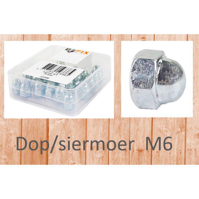 Bofix Dopmoer M6 per 25