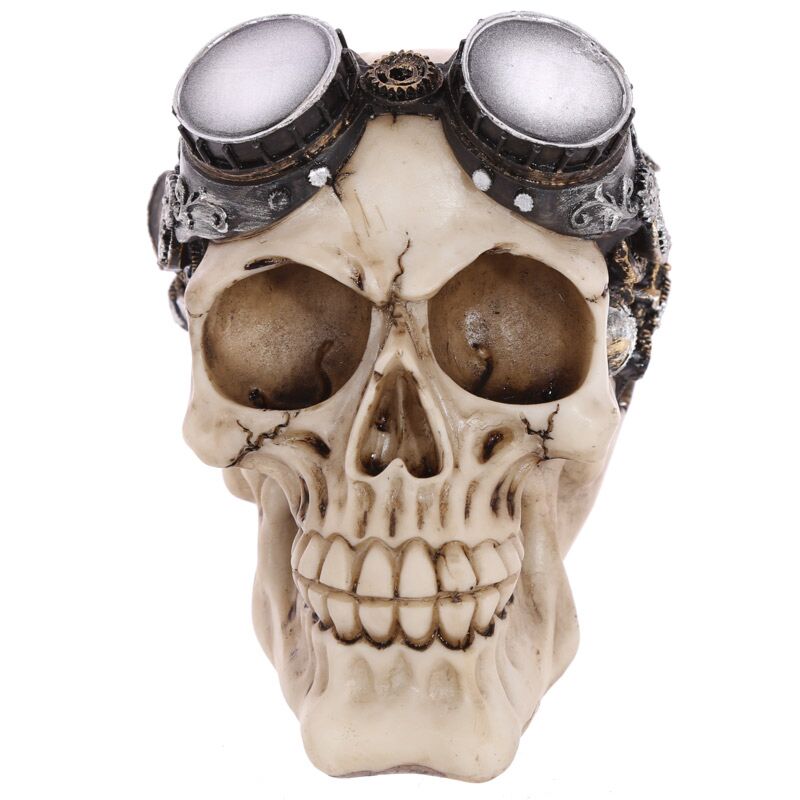 Steam punk motorbril woonaccessoire