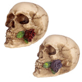 Schedel met roos tussen tanden woonaccessoire