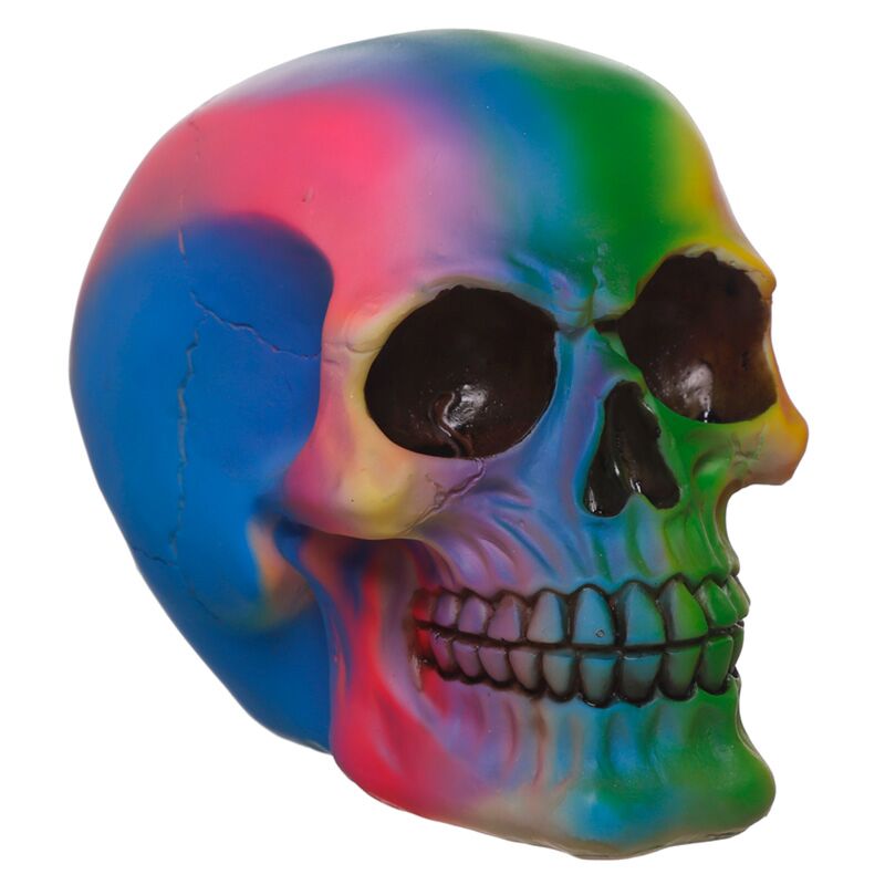 Regenboog schedel woonaccessoire