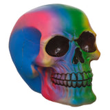 Regenboog schedel woonaccessoire