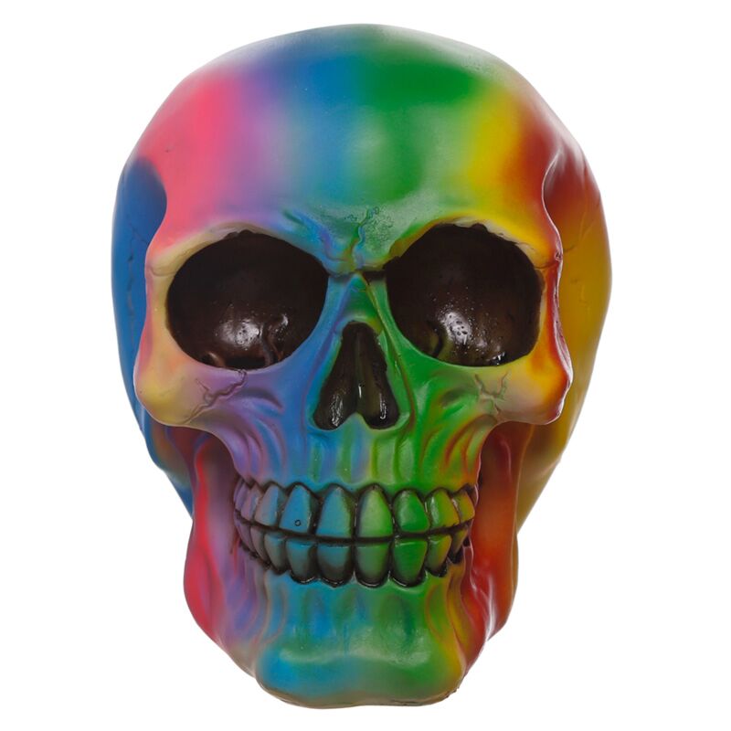 Regenboog schedel woonaccessoire