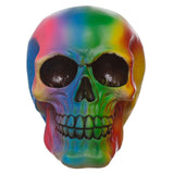 Regenboog schedel woonaccessoire