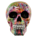Regenboog schedel woonaccessoire