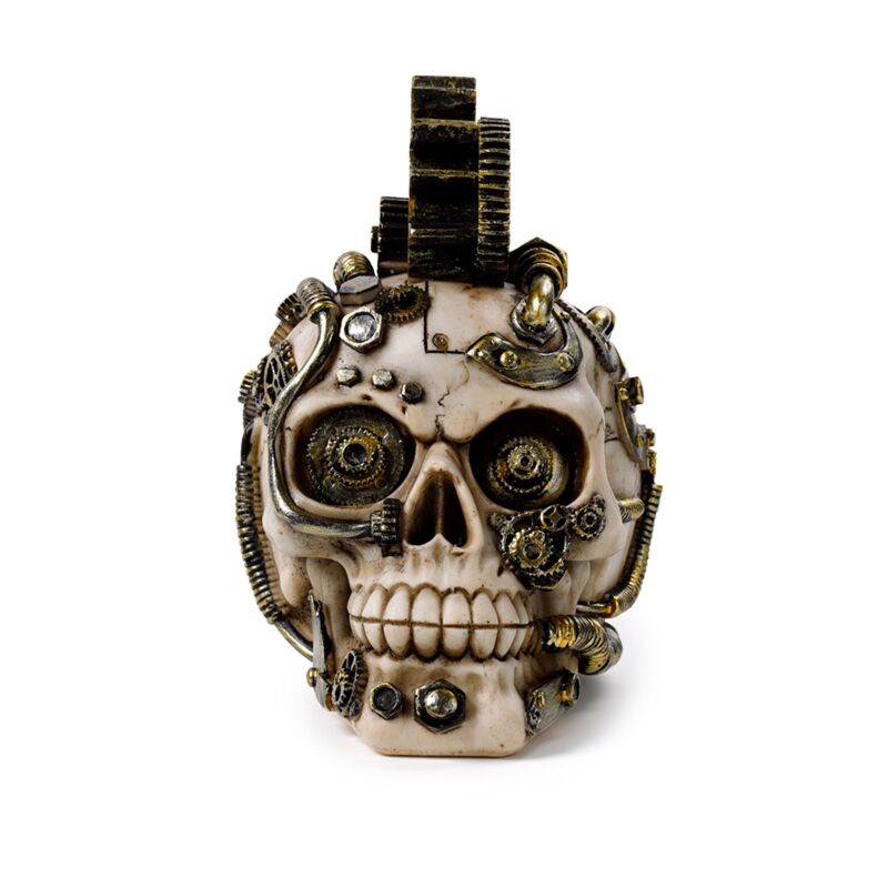 Steampunk stijl schedel met tandwielen en veren woonaccessoire