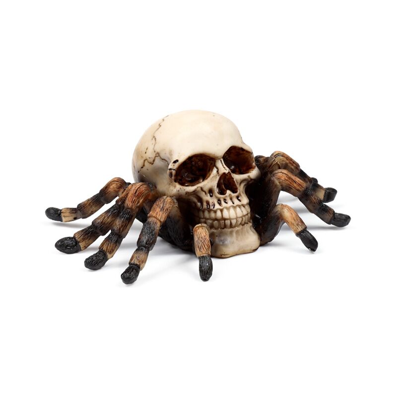 Schedel met spinnenpoten