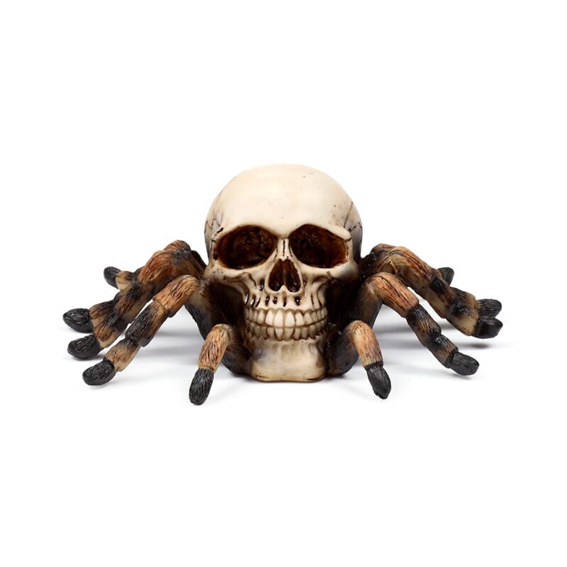 Schedel met spinnenpoten