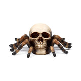 Schedel met spinnenpoten