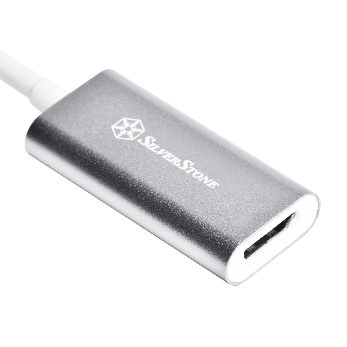 SilverStone SilverStone USB-C 3.1 naar HDMI