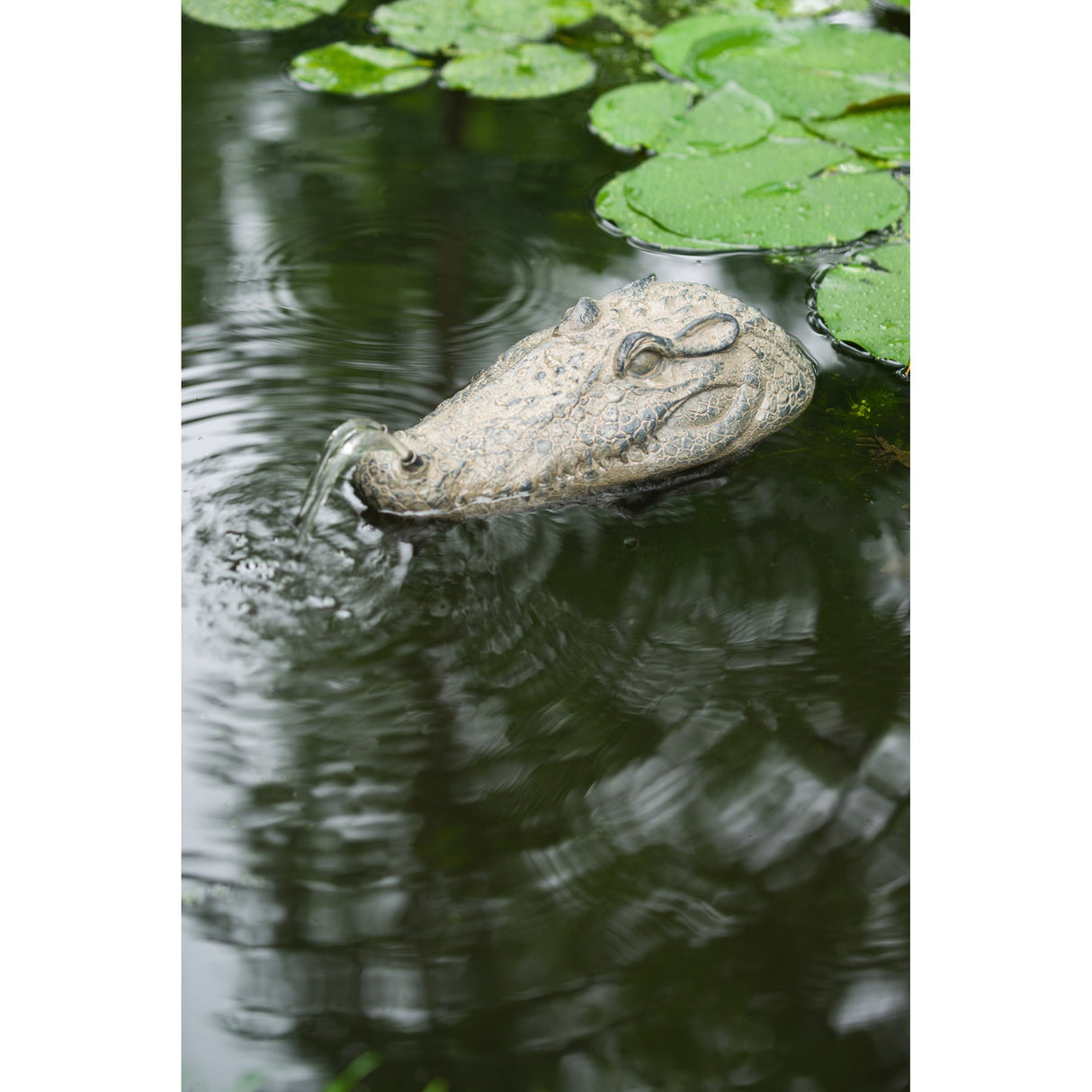 Ubbink Drijvende spuitfiguur Krokodillenkop