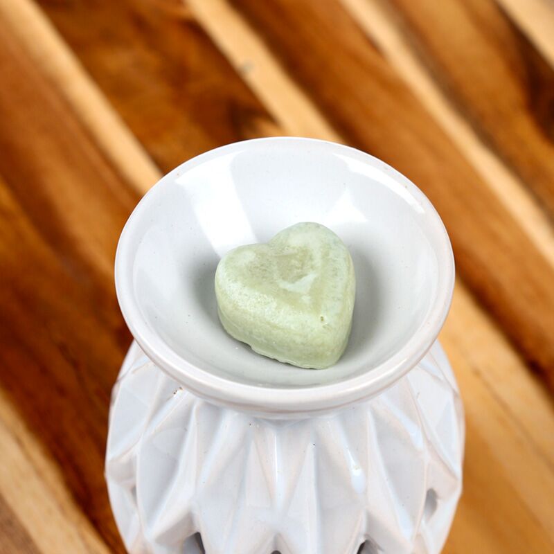 Nag champa set van 6 waxmelts