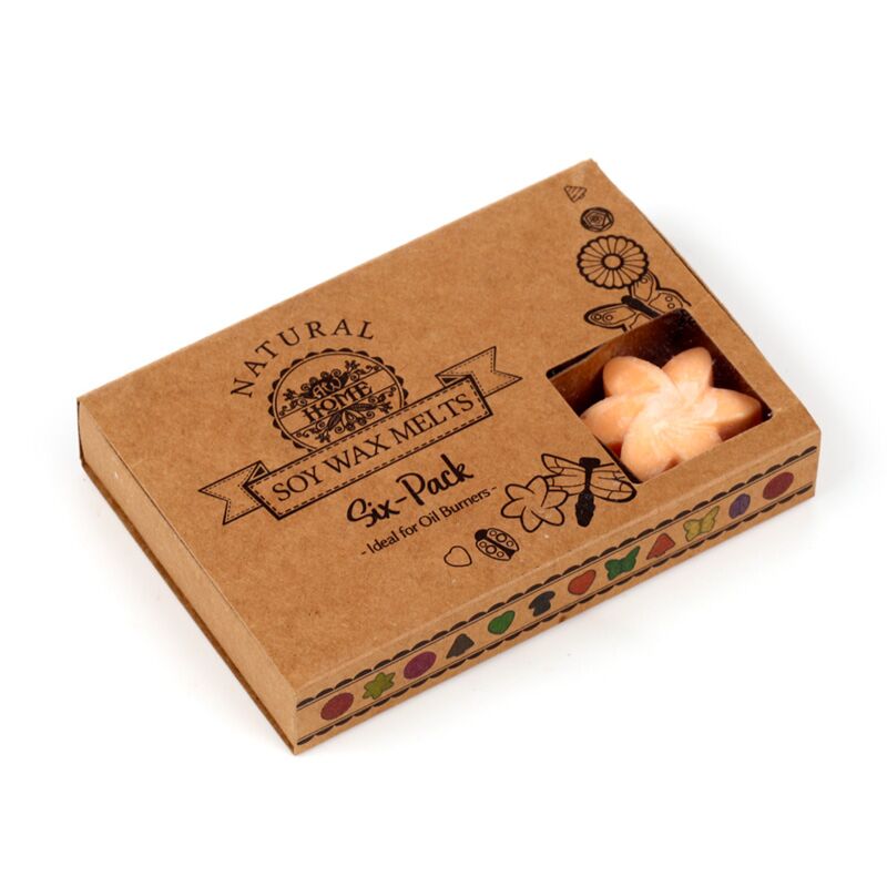 Mango fruit set van 6 waxmelts