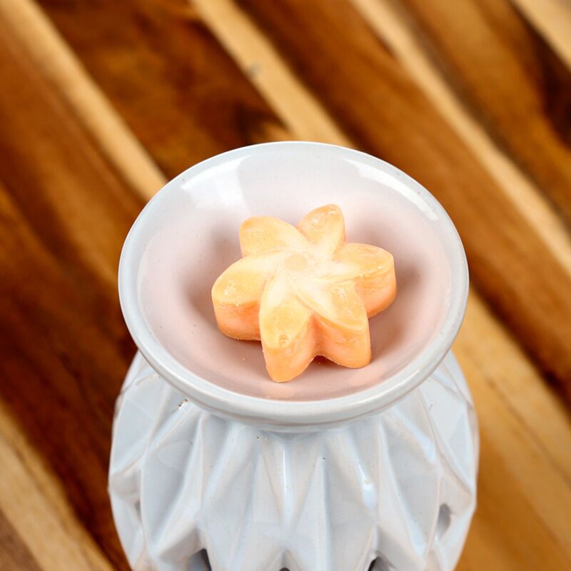 Mango fruit set van 6 waxmelts