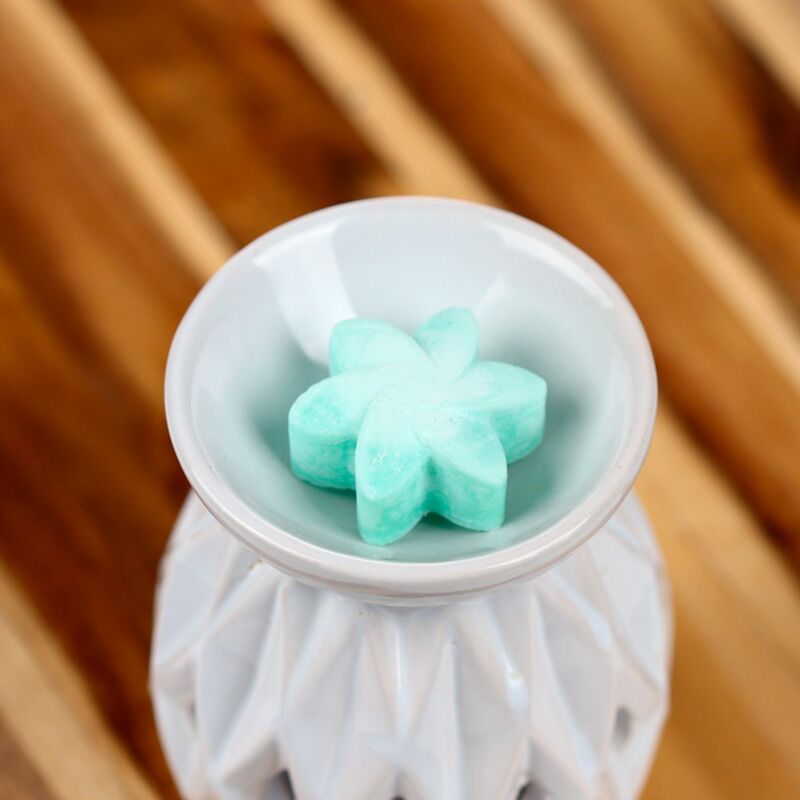 Geheime tuin set van 6 waxmelts
