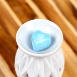 Dauwbes set van 6 waxmelts
