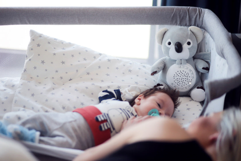 Chipolino pluche babyprojector knuffelkoala met muziek licht
