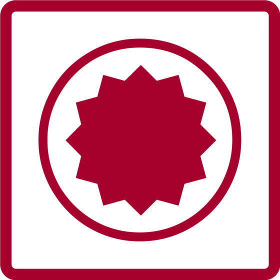Gedore red Bitset Inbus, Torx en Veeltand 40-delig