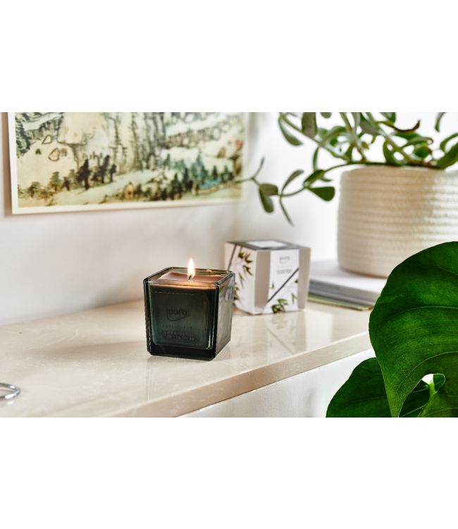 Ipuro geurkaars black bamboo 125gr.