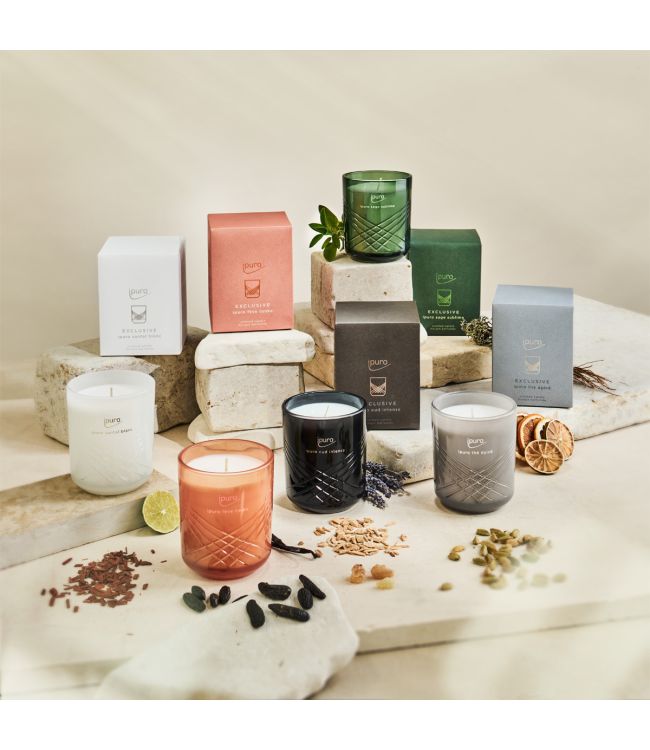 Ipuro geurkaars santal blanc 270gr