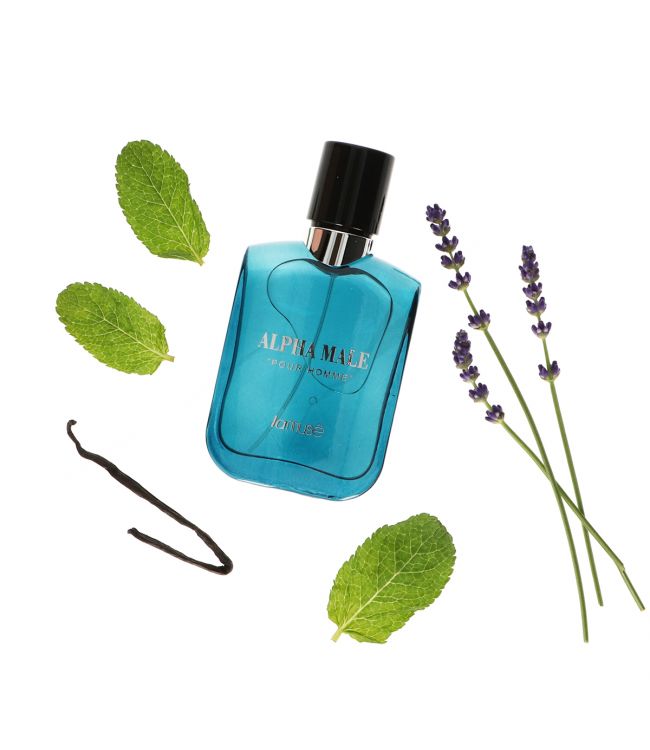 Lamusê lamuse eau de toilette spray heren alpha male pour homme 100ml