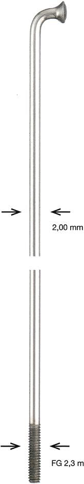 Alpina spoke zinc 2x242 mm