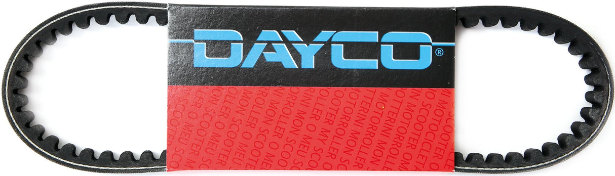 Dayco v-belts 18.5x811 mm