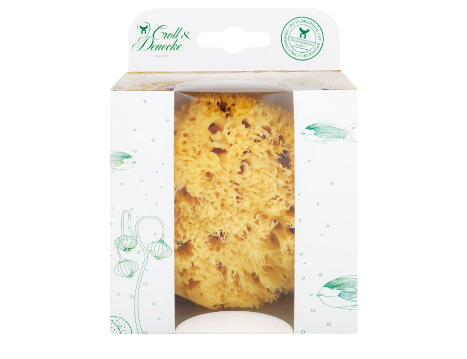 Croll denecke natuur spons in eco cadeau verpakking - maat l