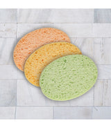 Calypso spons assorti