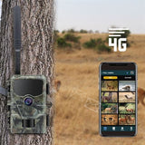 Stealth gear hedgehog 1080p 4g wildcamera