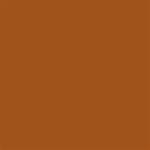 Superior achtergrondpapier 48 spice 1,35 x 11m