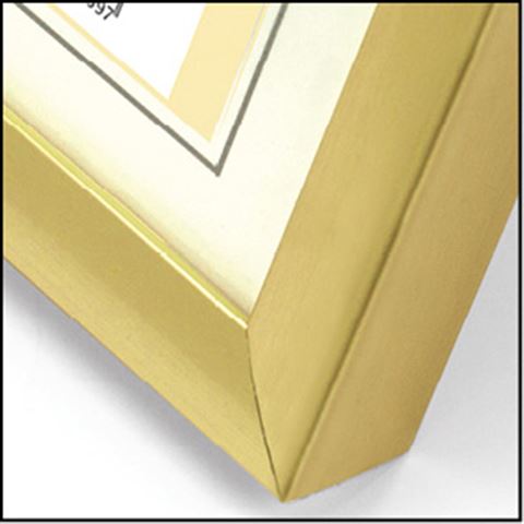 Zep fotolijst kg6 goud 30x45 cm