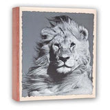 Zep wl57100 album slip-in 100 photos 13x19 cm - 12 albums