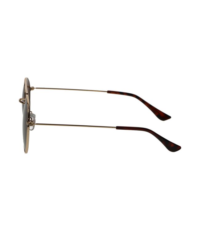Spectrum zonnebril rond goud metaal bruin unisex