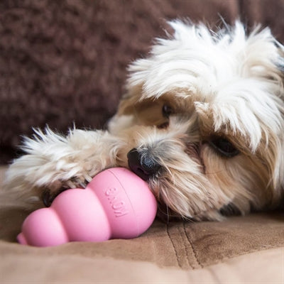 Kong Puppy roze of blauw assorti