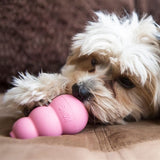 Kong Puppy roze of blauw assorti