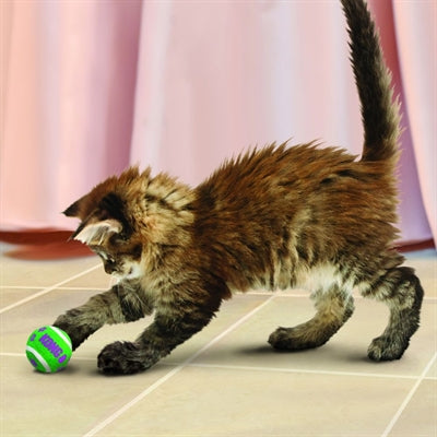 Kong Kat tennisballen met bellen