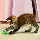 Kong Kat tennisballen met bellen