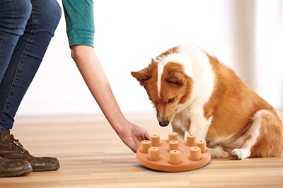 Nina ottosson Dog smart composiet